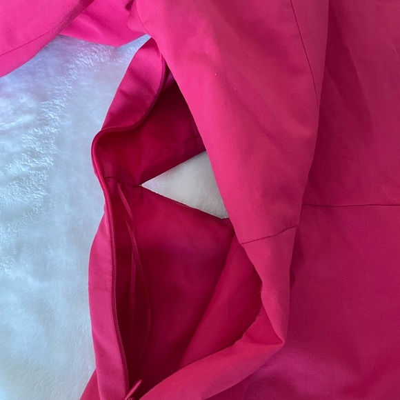 Zara Blogger Favorite Pink Cut-Out Dress - Picture 16 of 16